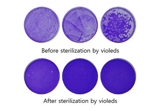 UV LED燈，能不能殺死冠狀病毒？
